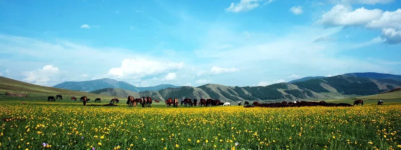 Central Mongolia 8 Day Tour