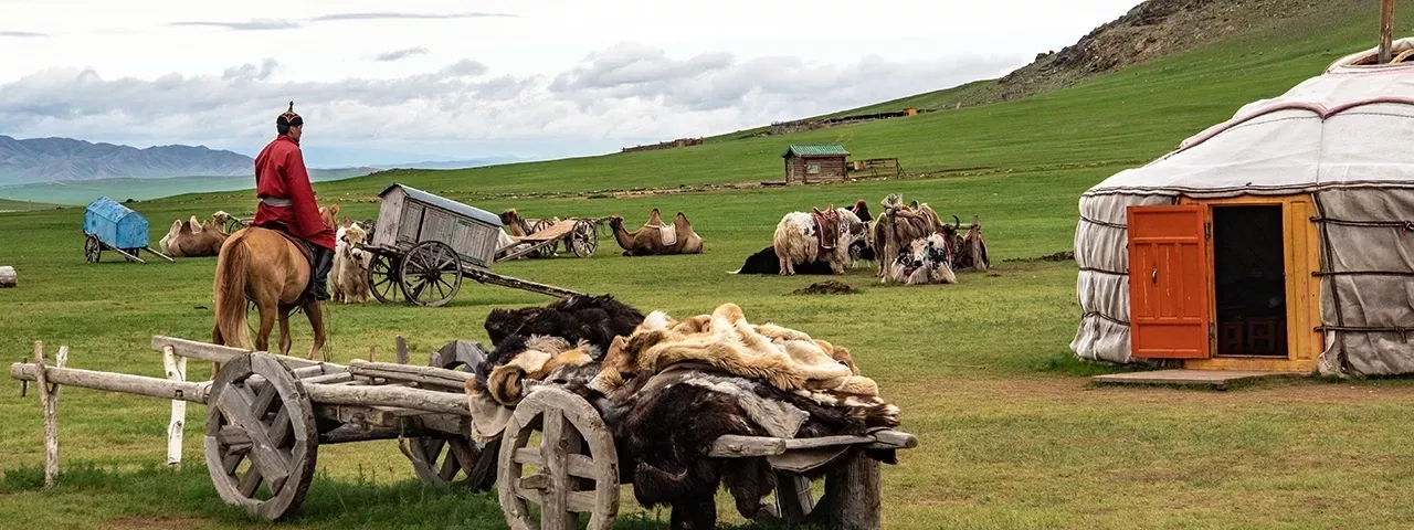 Mongolian Nomadic Ger