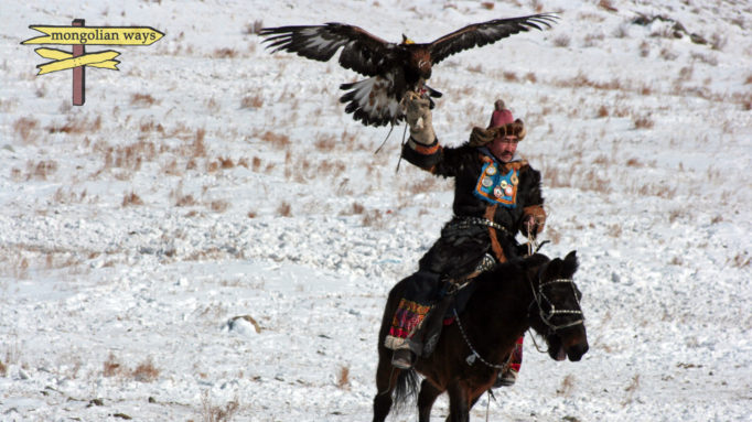 Hunting with Golden Eagle Eagle Hunting