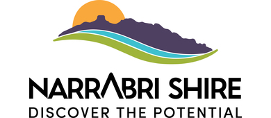 Project logo