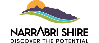 Project logo