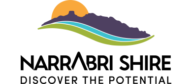 Project logo