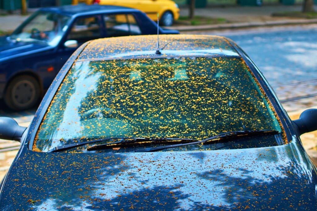 Vehicle storage tips. Donnellans