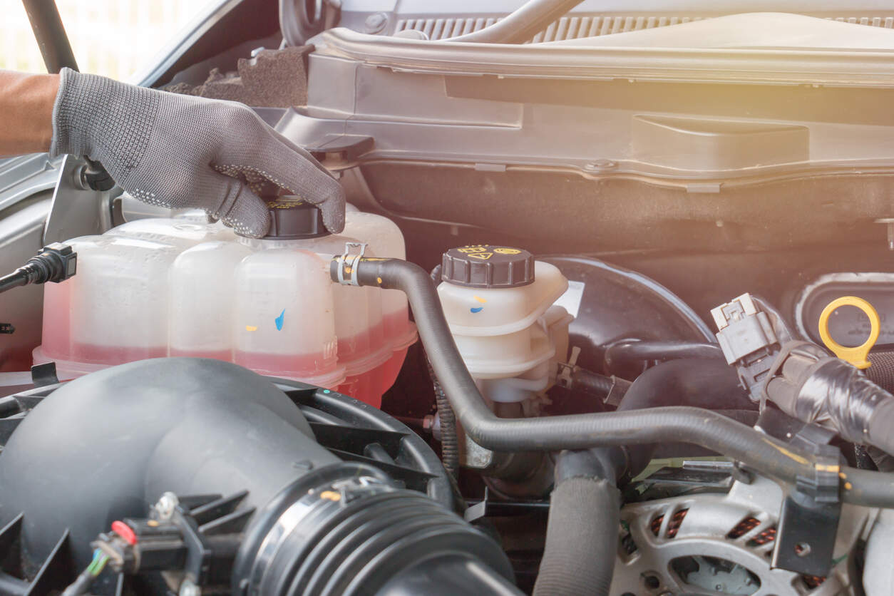 Checking fluid level on vehicle