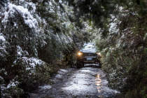 Maxxis Bravo AT711 in the snowy bush