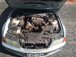 View Auto part Left Rear Door/Sliding Bmw 3 Series 2001
