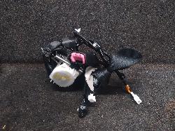 View Auto part Seatbelt/Stalk Toyota Corolla 2014