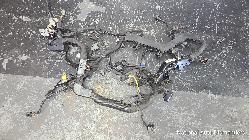 View Auto part Wire Harness Kia Carnival/grand Carnival 2015