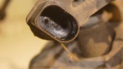 View Auto part Caliper Bentley Continental 2007