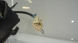 View Auto part Water Pump Maserati Granturismo 2008