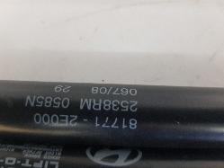 View Auto part Hatch Strut Hyundai Tucson 2008