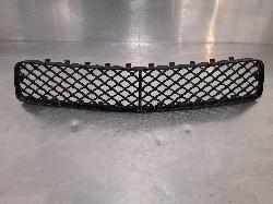 View Auto part Grille Bentley Continental 2004