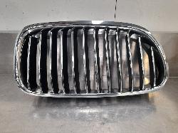 View Auto part Grille Bmw 5 Series 2013
