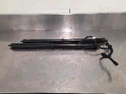 View Auto part Hatch Strut Porsche Cayenne 2011