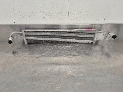 View Auto part Intercooler Ldv G10 2022