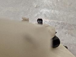 View Auto part Washer Bottle Porsche Boxster 1998