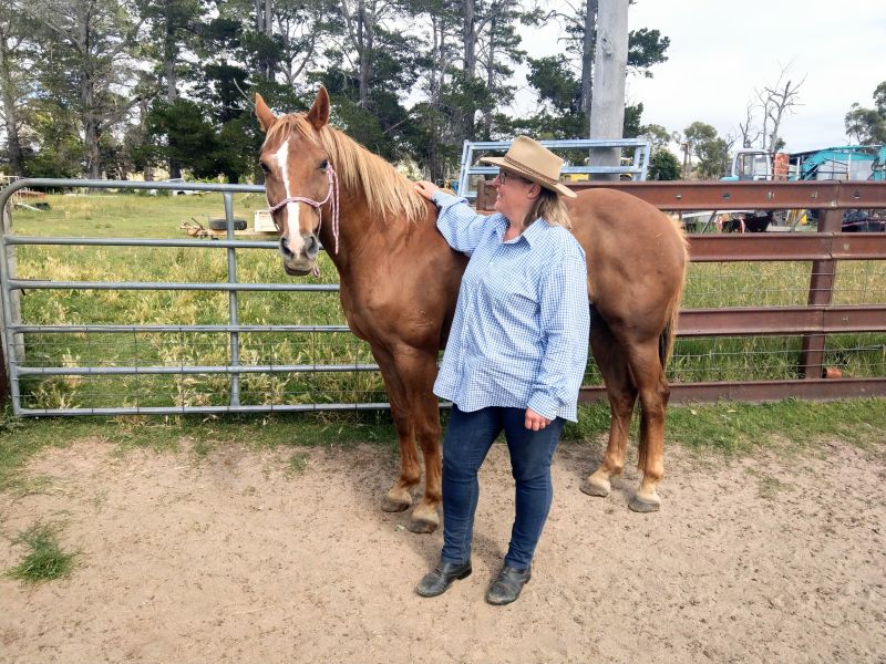 5TH NOVEMBER 2022 NKPL SNOWY MOUNTAINS HORSE SALE & AGRICULTURAL
