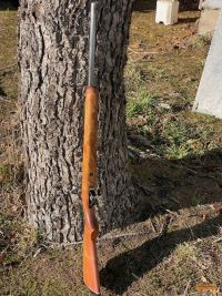 Outside Entry 1 - Tea Gardens Grazing