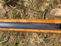 Outside Entry 1 - Tea Gardens Grazing