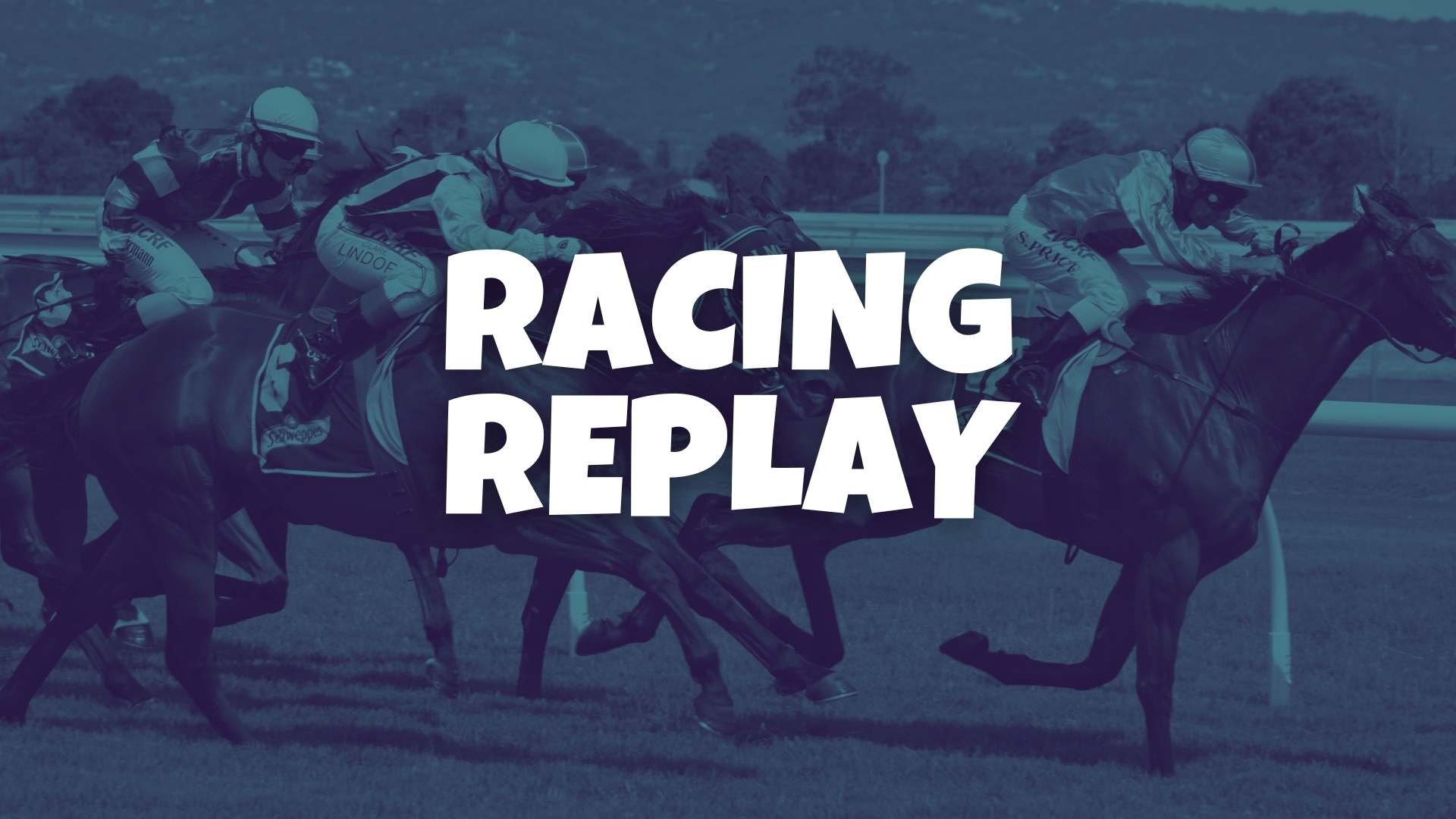 Racing Replay TV Show - Australian TV Guide - 9Entertainment