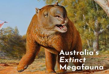 Australia's Extinct Megafauna TV Show - Australian TV Guide ...