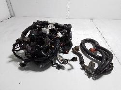 View Auto part Wire Harness Nissan Navara 2011
