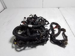 View Auto part Wire Harness Nissan Navara 2011