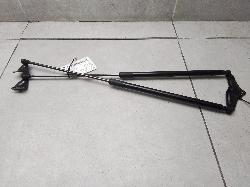 View Auto part Hatch Strut Nissan Juke 2014