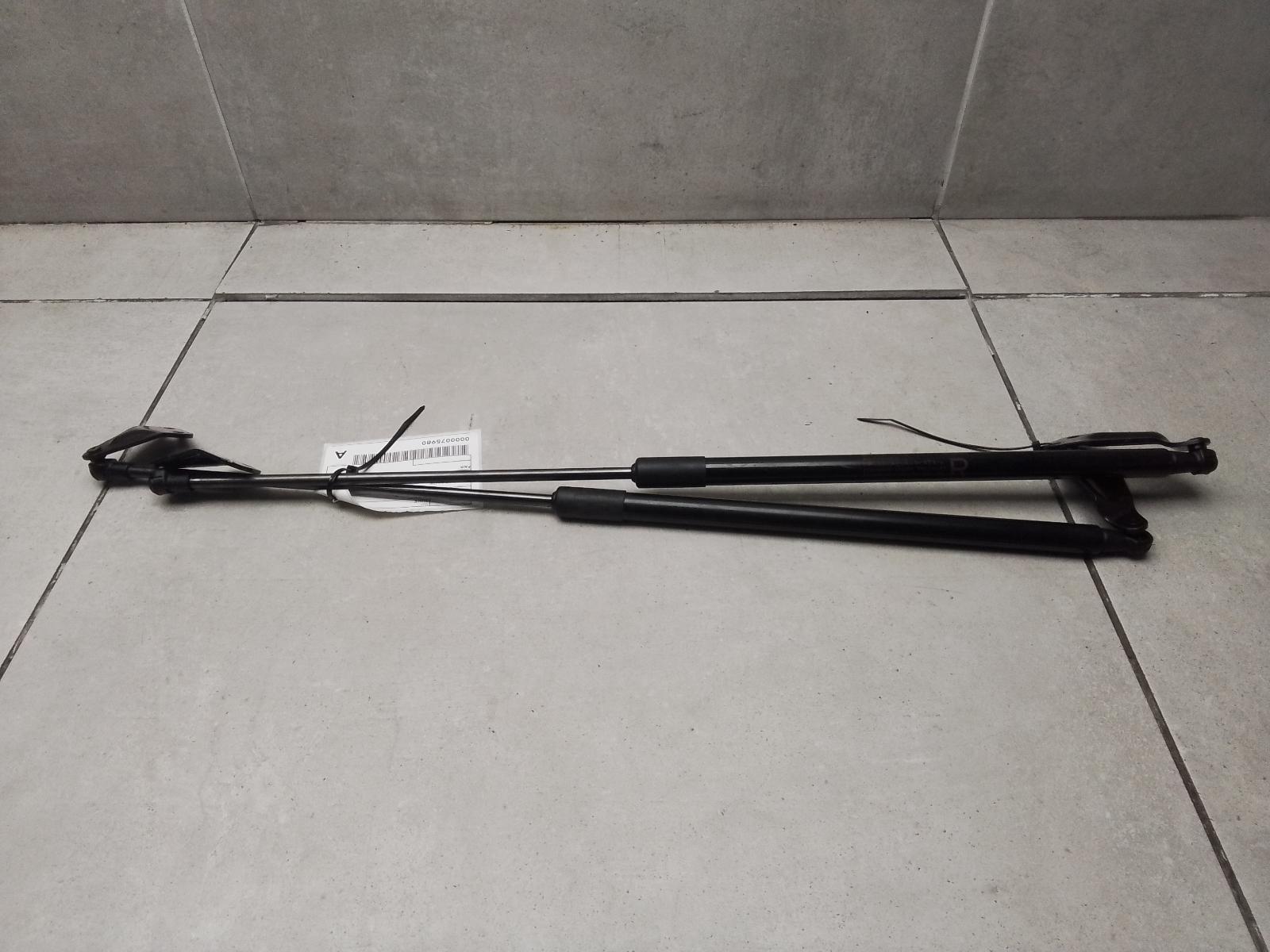 View Auto part Hatch Strut Nissan Juke 2014