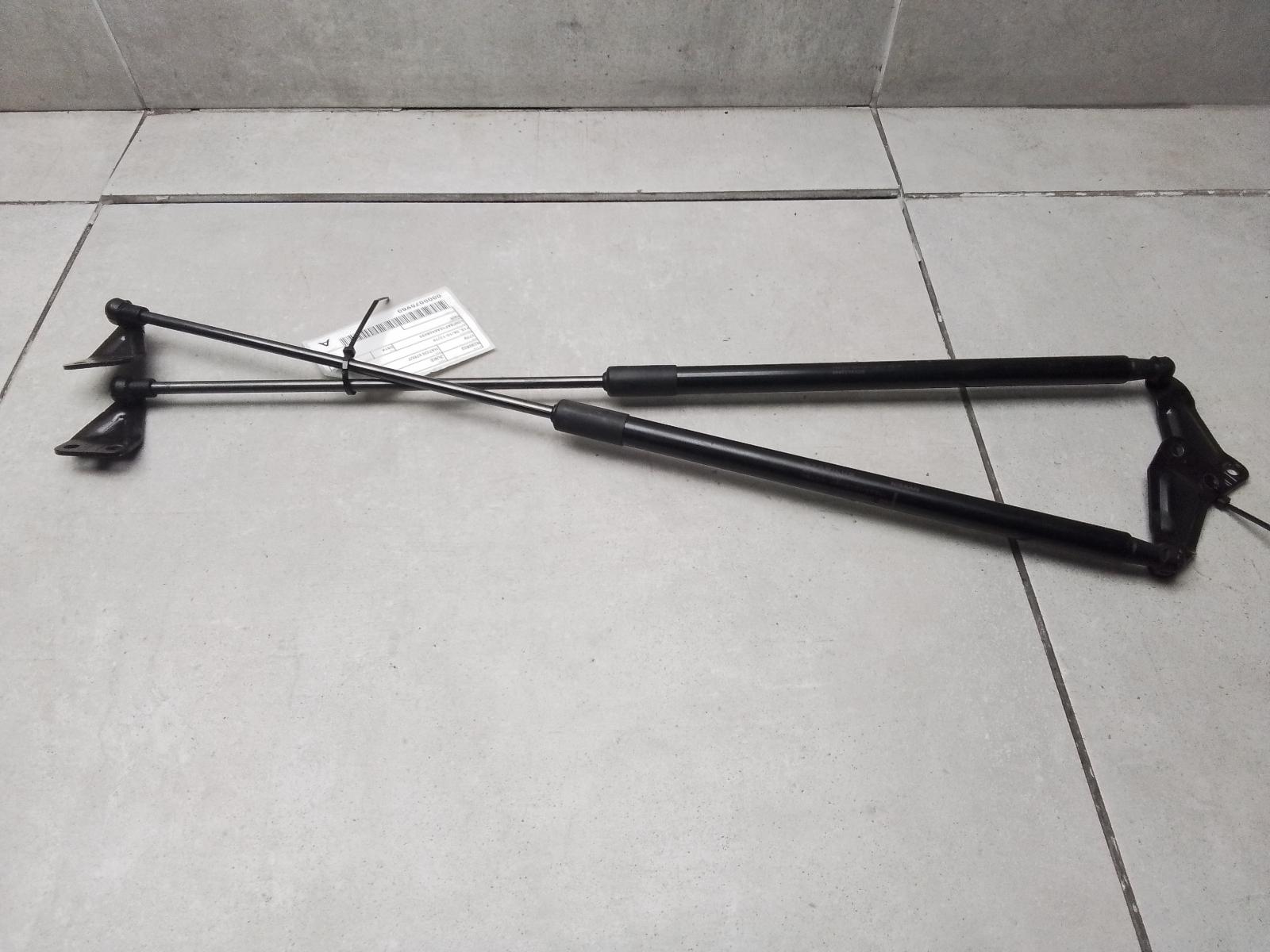 View Auto part Hatch Strut Nissan Juke 2014