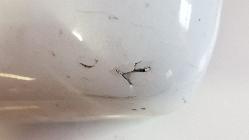 View Auto part Left Door Mirror Renault Kangoo 2010