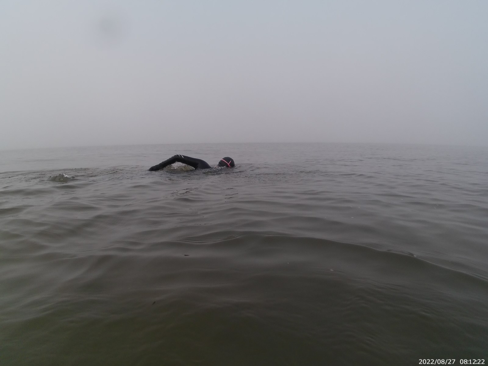 Tessa swimming