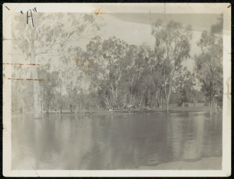 Darlington Point Public School South Darlington Point proposed site