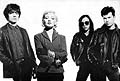 The Primitives