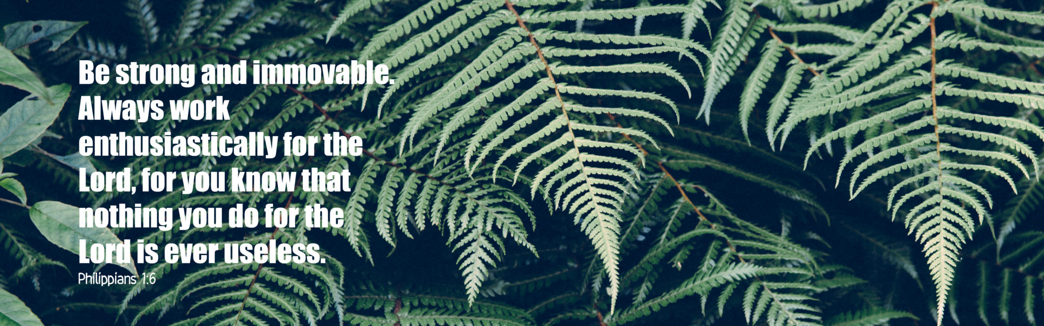 NZ-bibleslide-Philippians-1.6