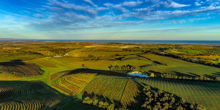 Flying high with Adelaide Aerial