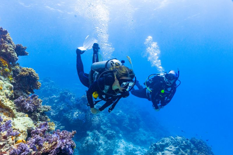 Why Winter is the Best Time to Visit the Great Barrier Reef
