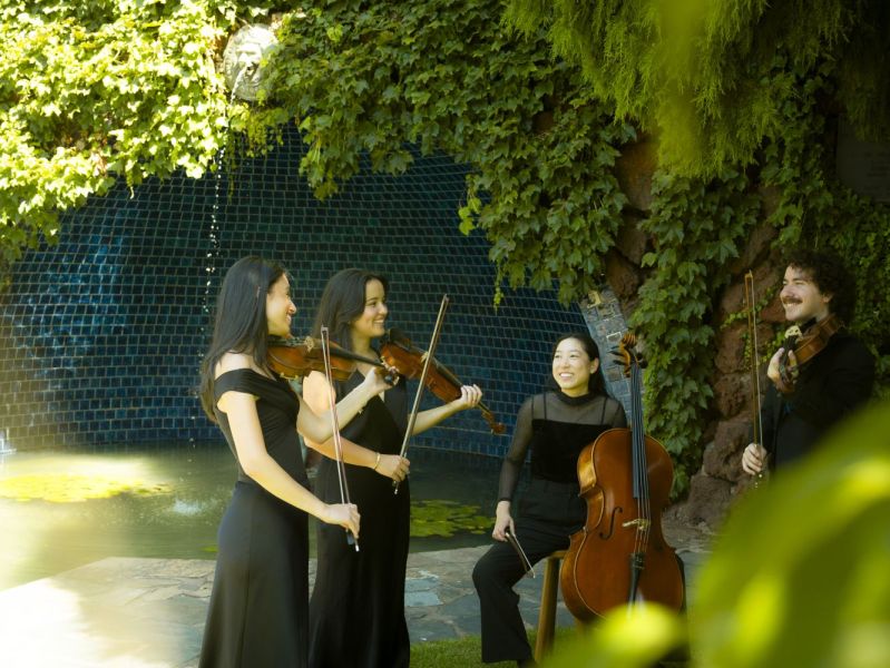Jessica Leigh of the Cedar Quartet, AFCM's Pathways string quartet