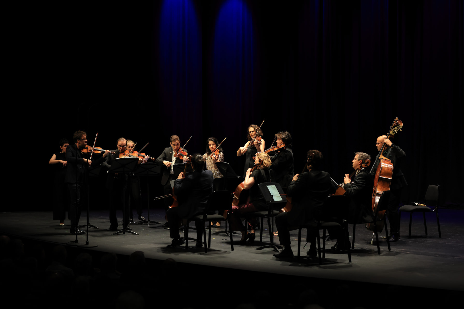 Musicians performing live at AFCM's 2026 Cairns-Gimuy festival