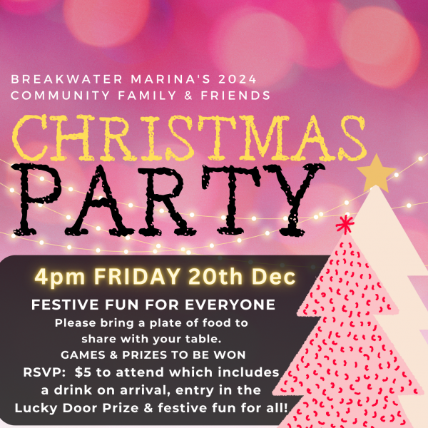 Kip marina christmas party nights