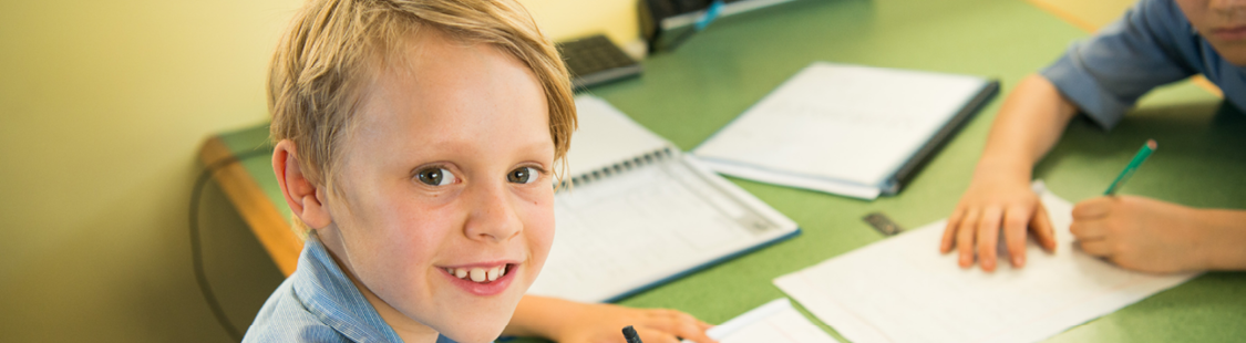 NAPLAN Assessment and Reporting