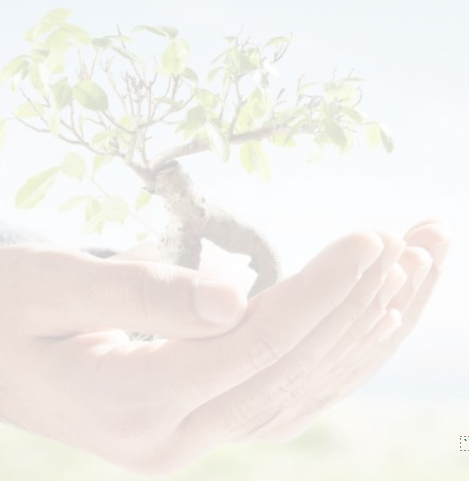 CENT Media Release_Catholic Education NT signs up to Laudato Si Day 10 September 2021