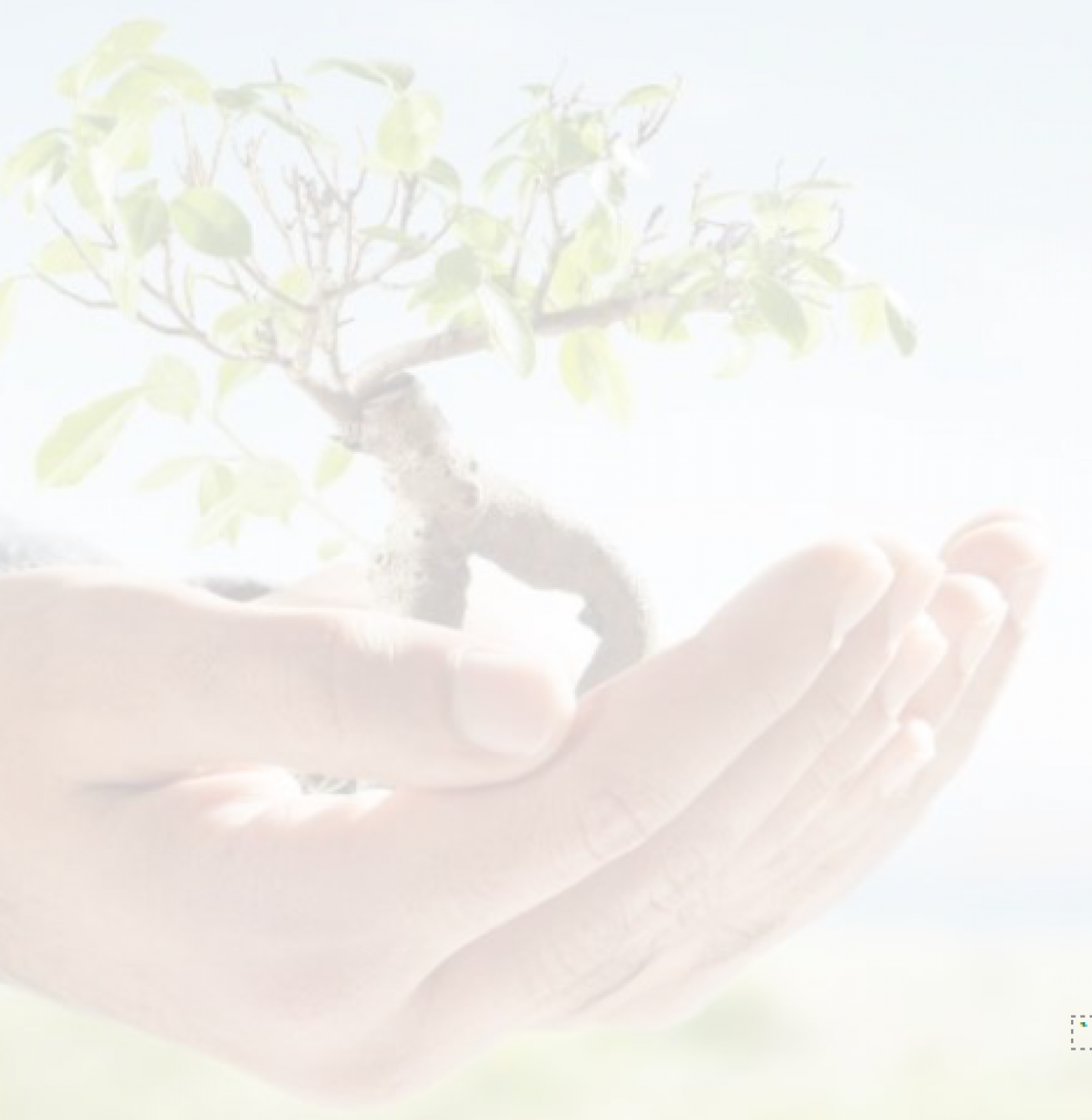 CENT Media Release_Catholic Education NT signs up to Laudato Si Day 10 September 2021