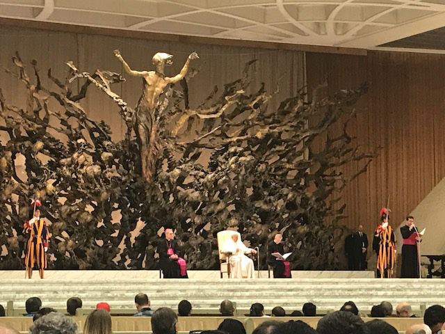 Senior Australian of the Year Sr. Anne Gardiner invited to Rome to speak.
