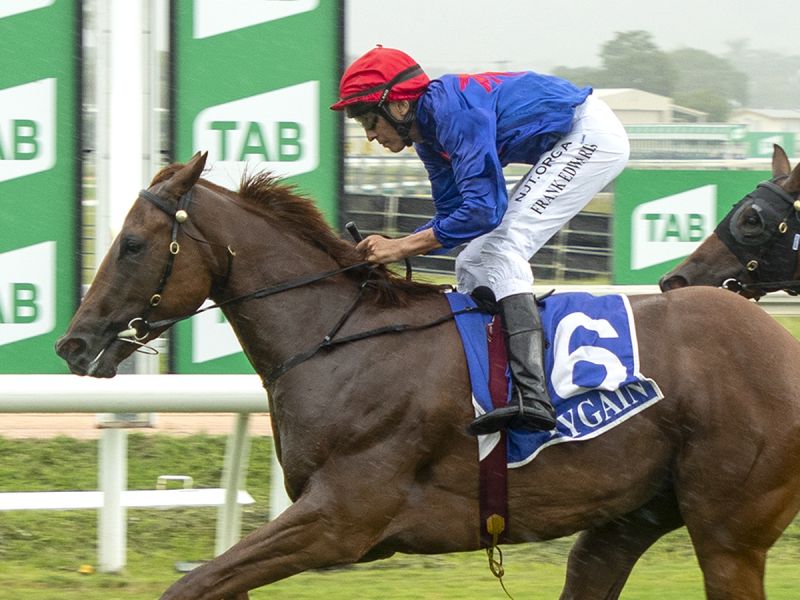 Chasing gold closer to home the key for flying filly