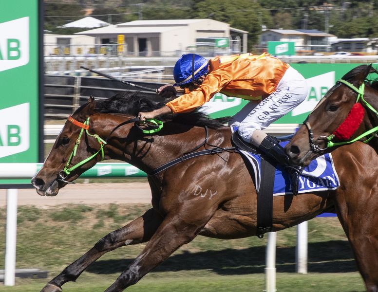 Young star Palencia charges into Classic contention 