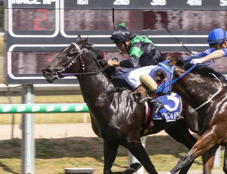 Hallside Brings the Hammer Down with Big Price Win