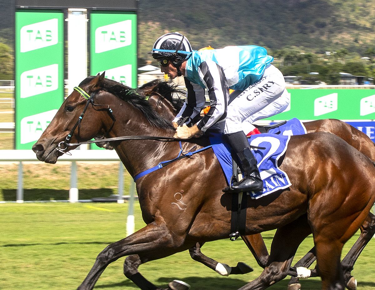 Choir Boy On Song for Classic for Big Band of Owners Cluden Park