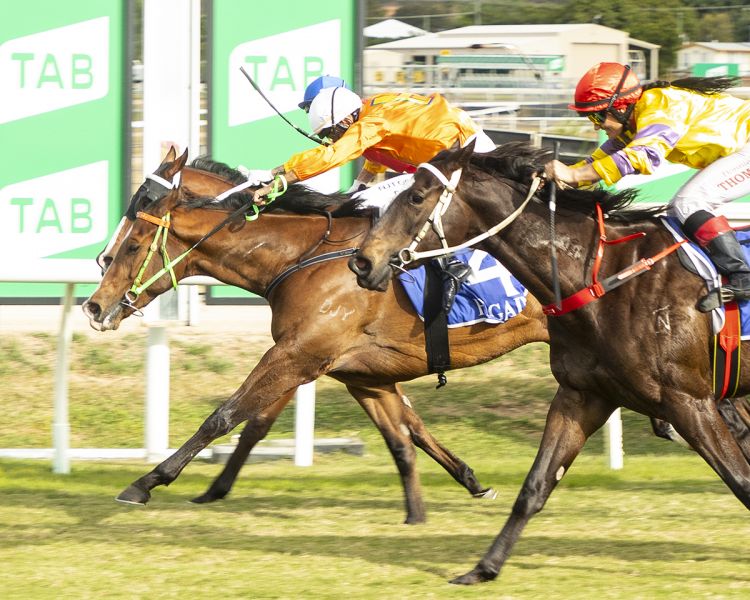 Palencia Magnificent Heart-Stopping Classic Win 