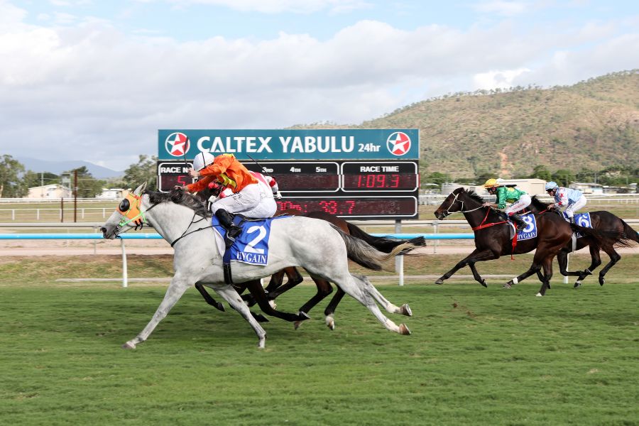 Missile Shoots for Cluden Win as Career Winds Down